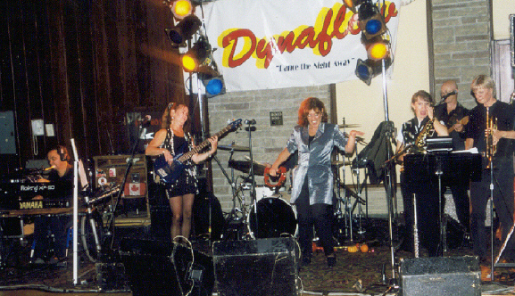 vintagedynaflowcirca20002.jpg (264989 bytes)